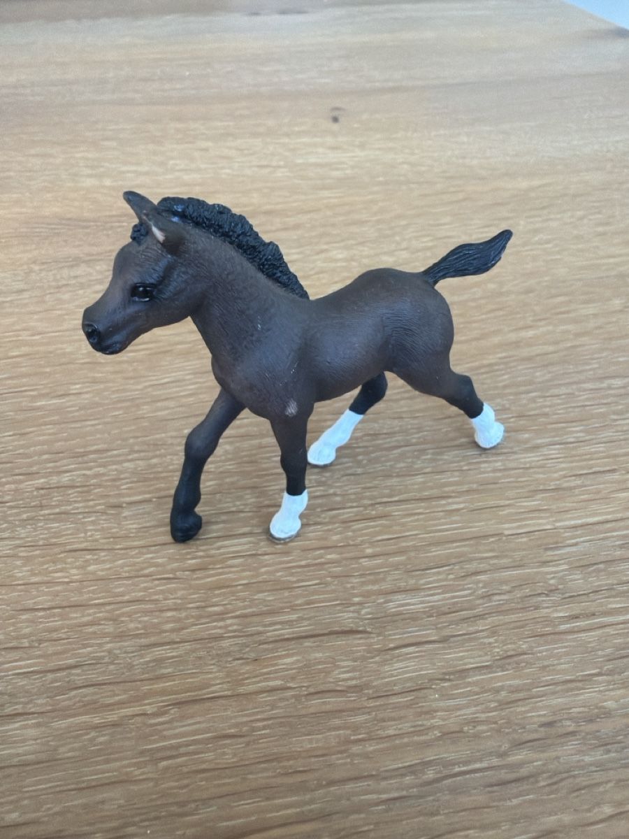 Schleich Giocattoli: Schleich Fohlen braun  – Usato da Uznach venduto da Player6