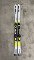 Head Ski Worldcup Rebels LGS RD Team 173 cm gebraucht