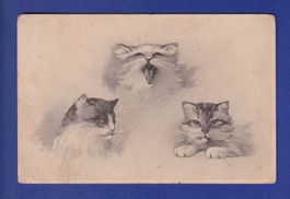 CHAT - Portraits