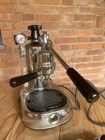 Pavoni 