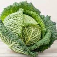 50 Samen Mantuanischer Kohl “VERZA”