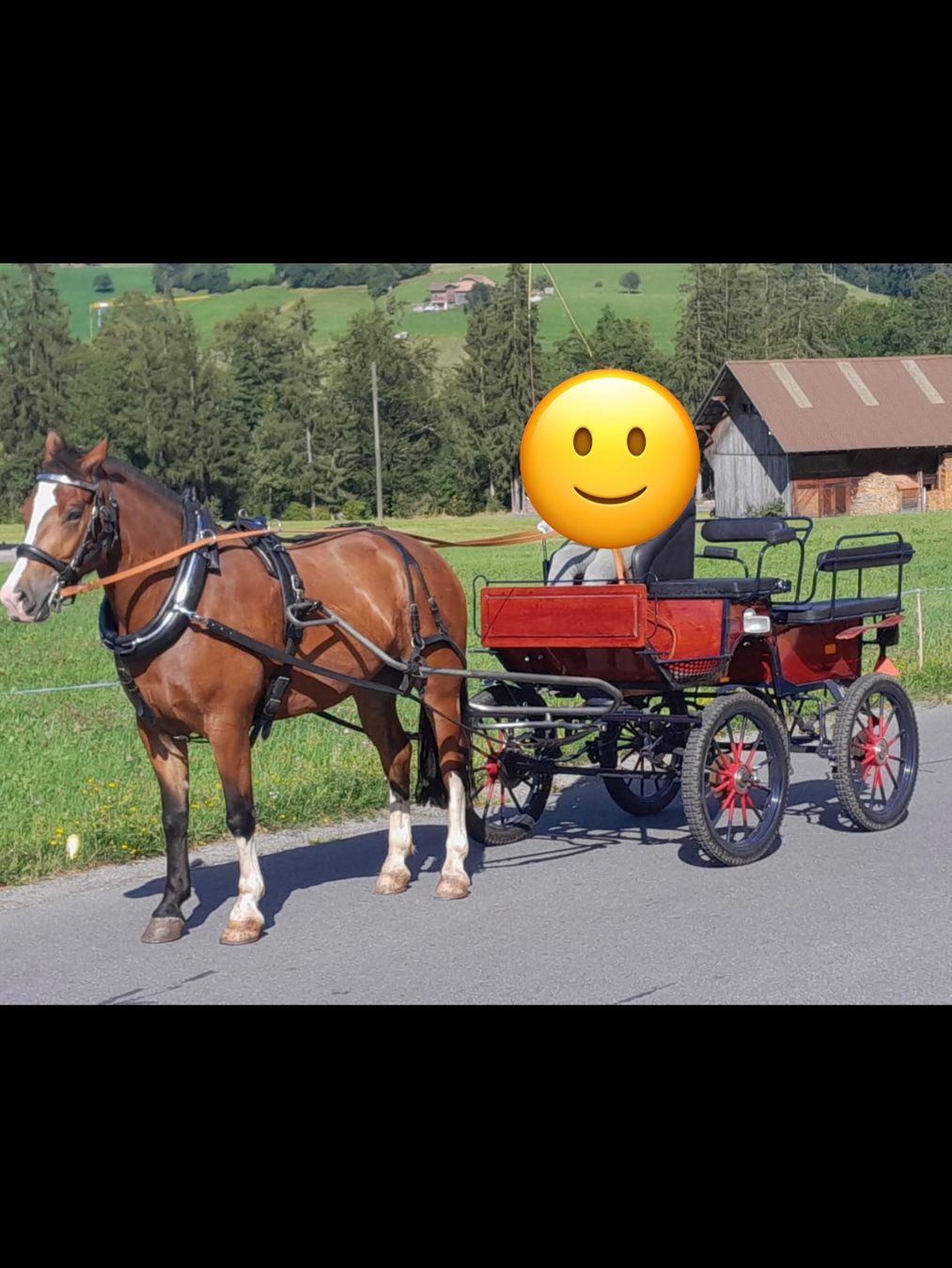 Calèches: Wagonette – D'occasion à saanen par saemi012