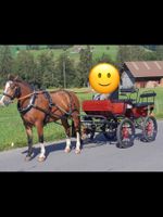 Wagonette