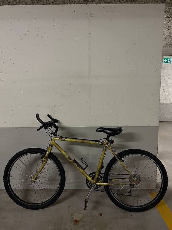Biciclette: 3 x Fahrrad  – Usato da Eschen venduto da bakiedis
