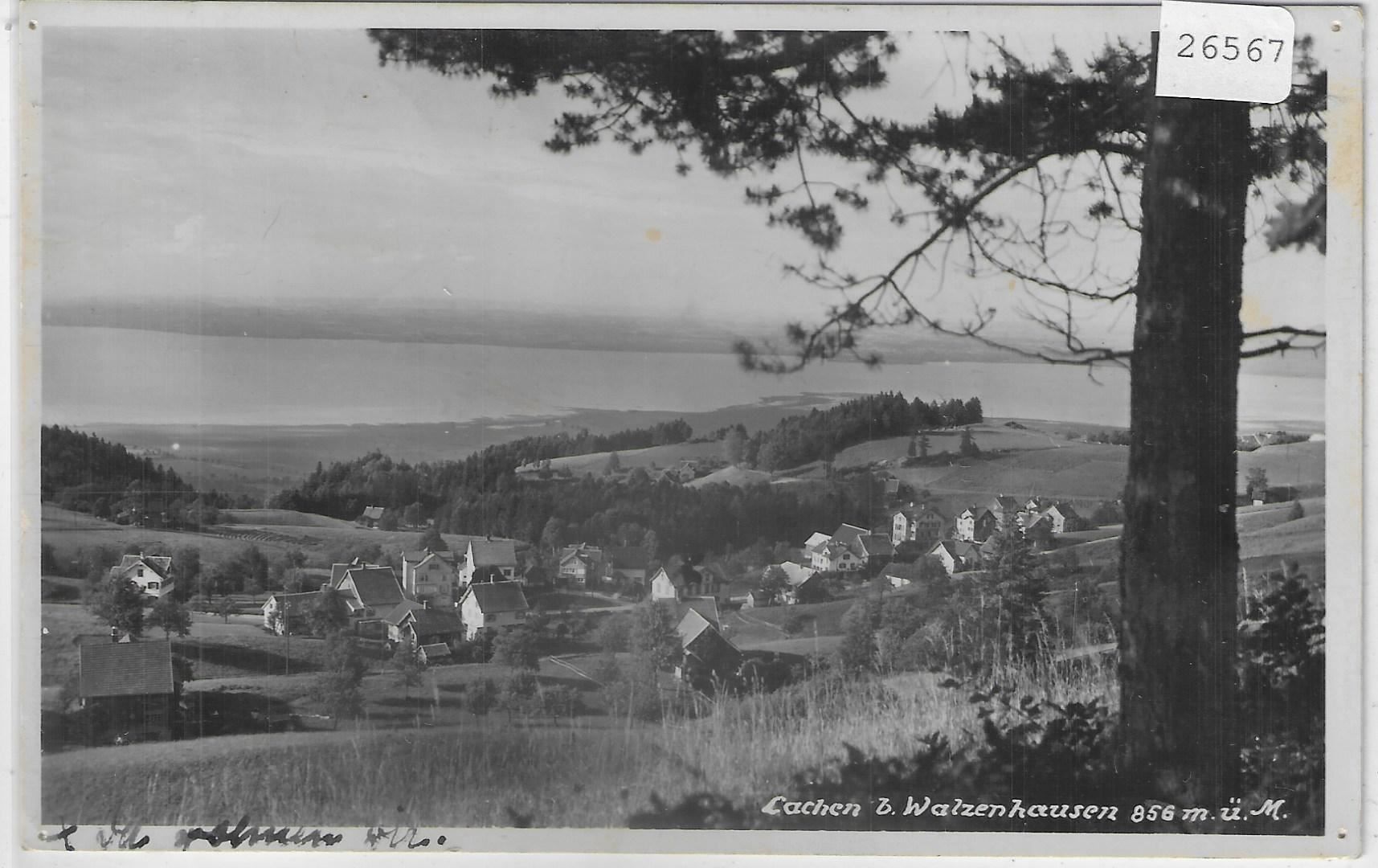Cartoline postali: Lachen und Walzenhausen – Usato da Ettingen venduto da Kartenplanet