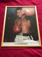 MUHAMMAD ALI († 2016) - (43x53cm!!) handsigniert mit COA
