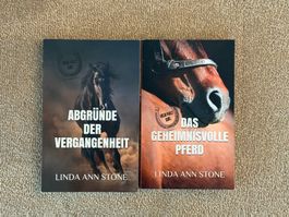2 Pferderomane, Green Valley Serie, ab 12 Jahren
