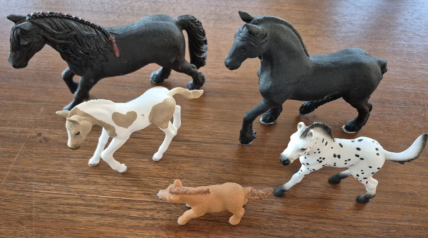 Schleich Statuette: 5-teiges Schleich-Pferde-Set – Usato da Volketswil venduto da Sbloona 1