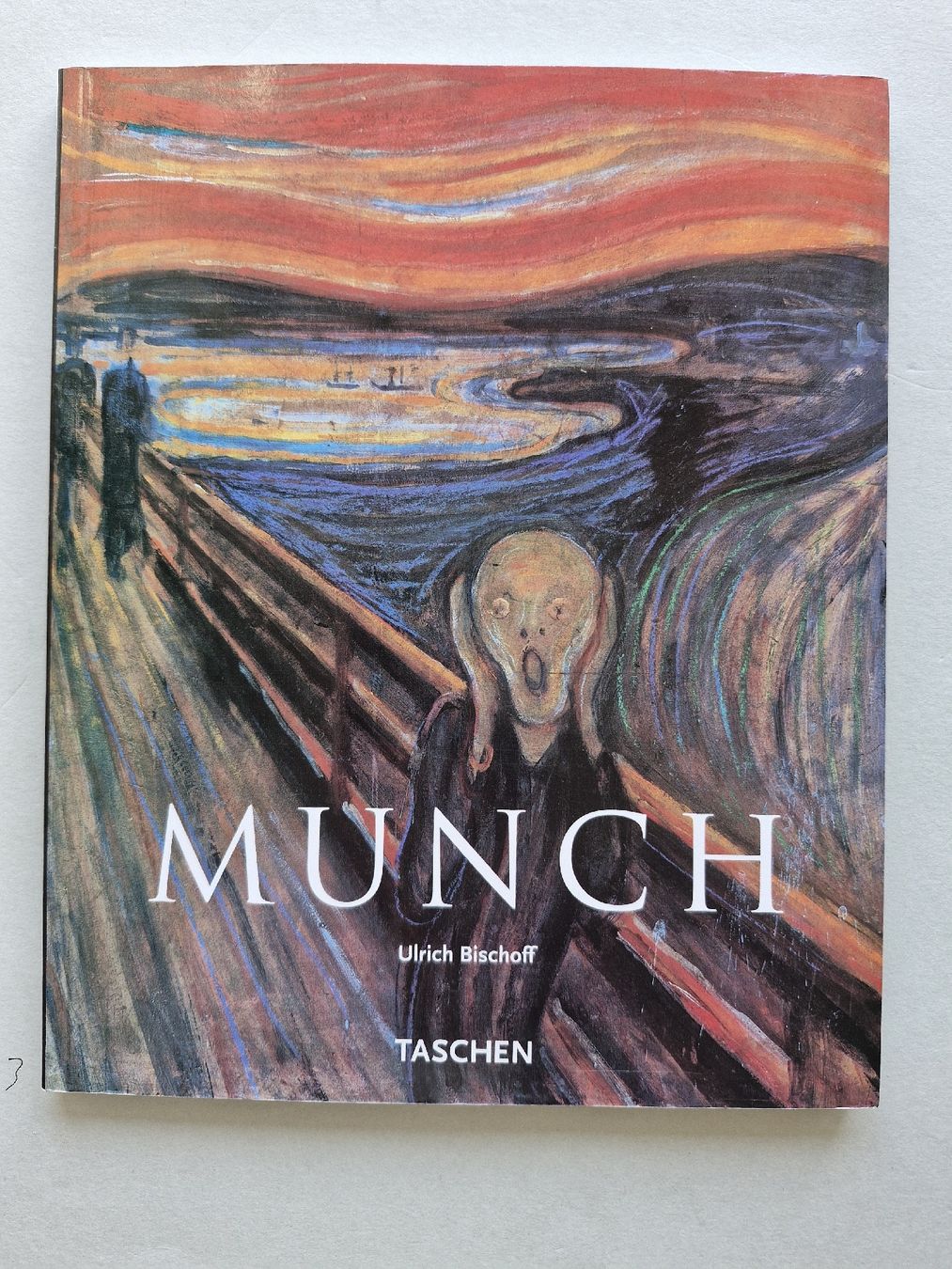 Libri: Edvard Munch - Bilder Leben und Tod - Taschen – Usato da Zürich venduto da Secretariat11