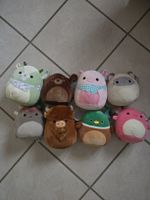 Kleine Squishmallows Konvolut