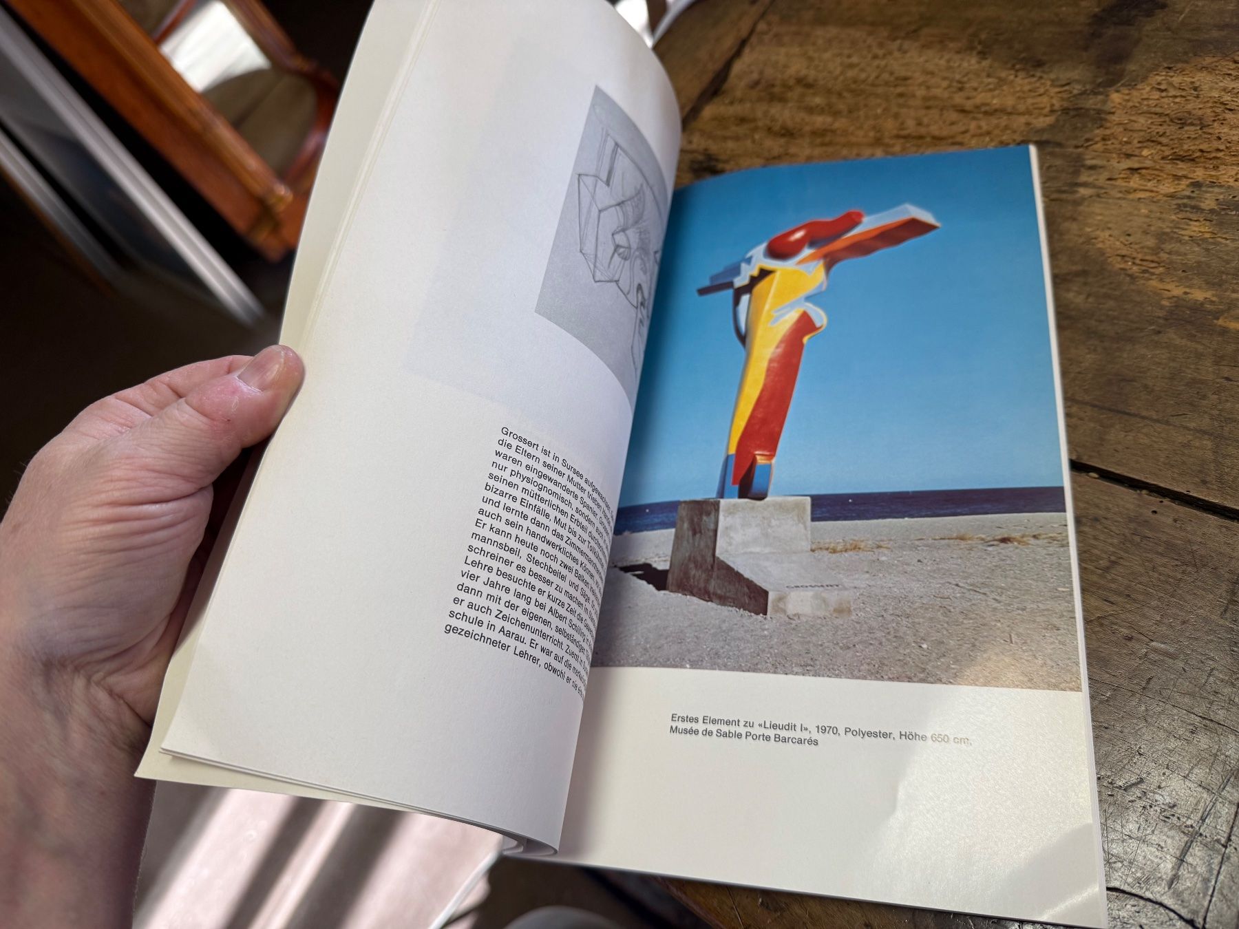 Libri: Michael GROSSERT 1975 – Usato da Bern venduto da Jwpm66 3