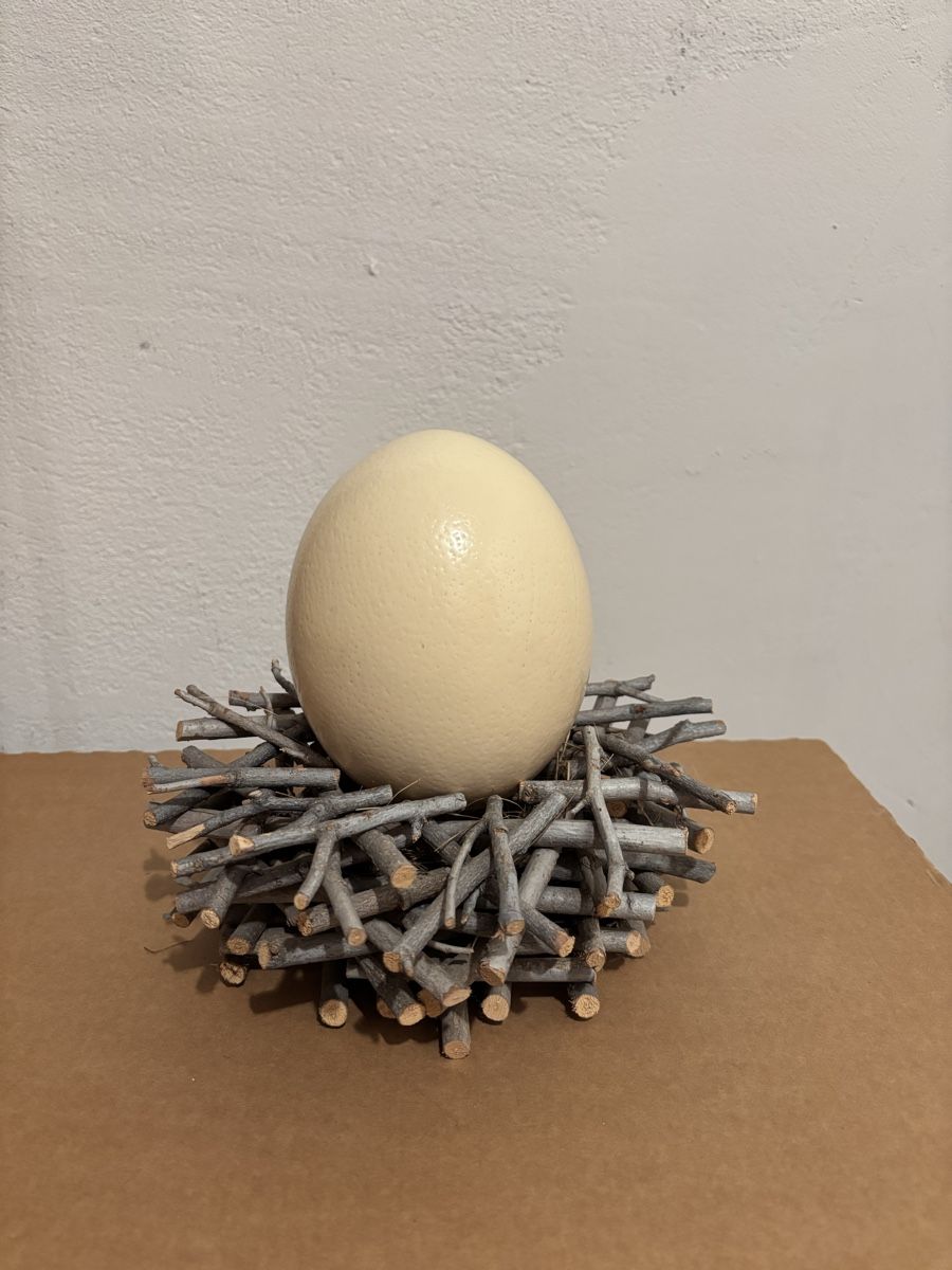 Tutte le decorazioni: Straussei mit Giraffenmuster auf Holzgestell, Afrikadeko – Usato da Uesslingen venduto da man_rc5l 1