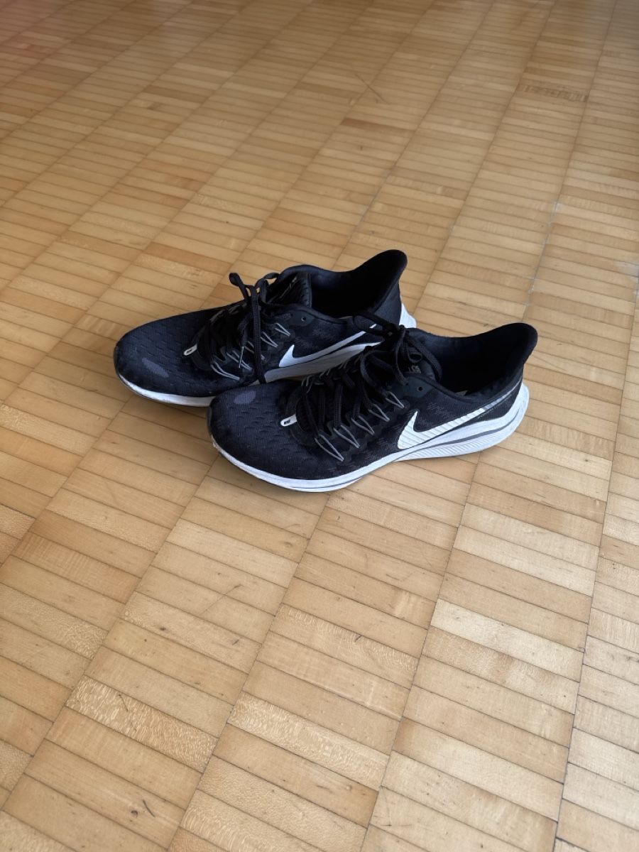 Chaussures hommes: Nike Zoom 44 – D'occasion à Zürich par nicola.witzig 1