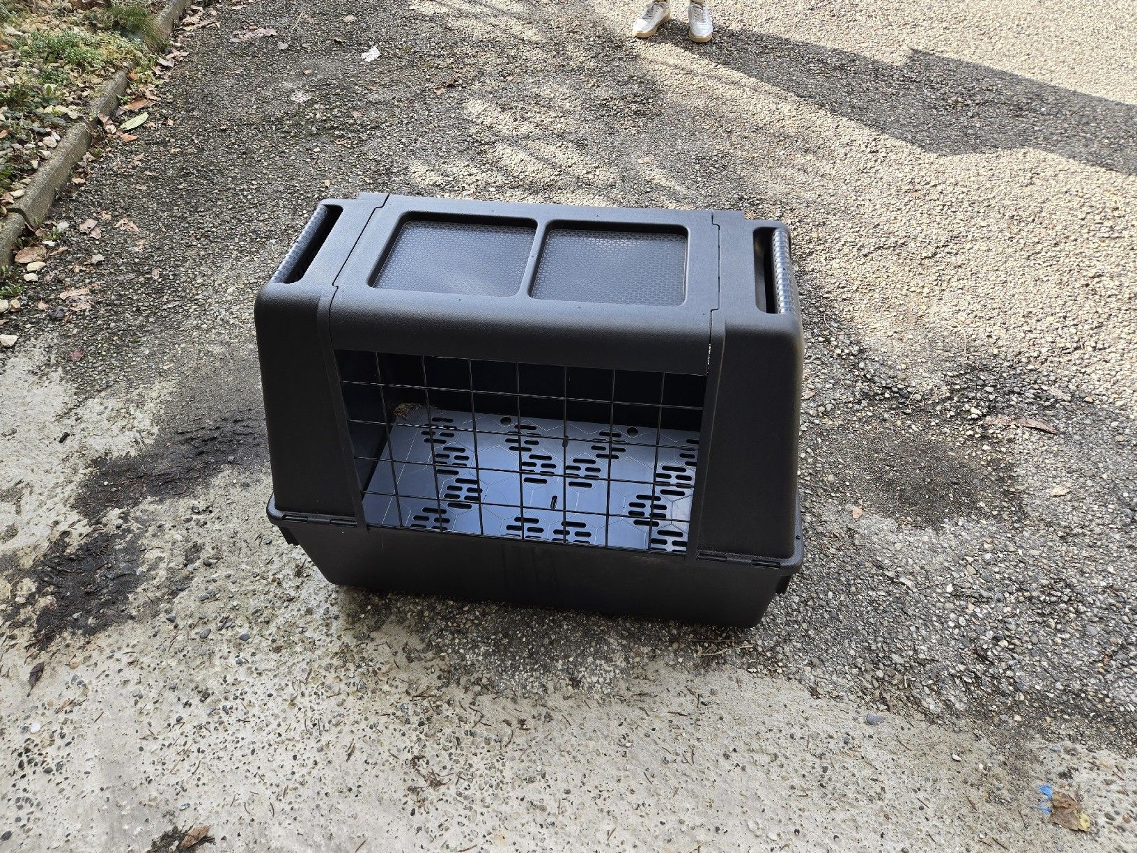 Gabbie, trasporto & Sicurezza: Cage pour chien – Usato da Bussigny venduto da Kfdlt 2