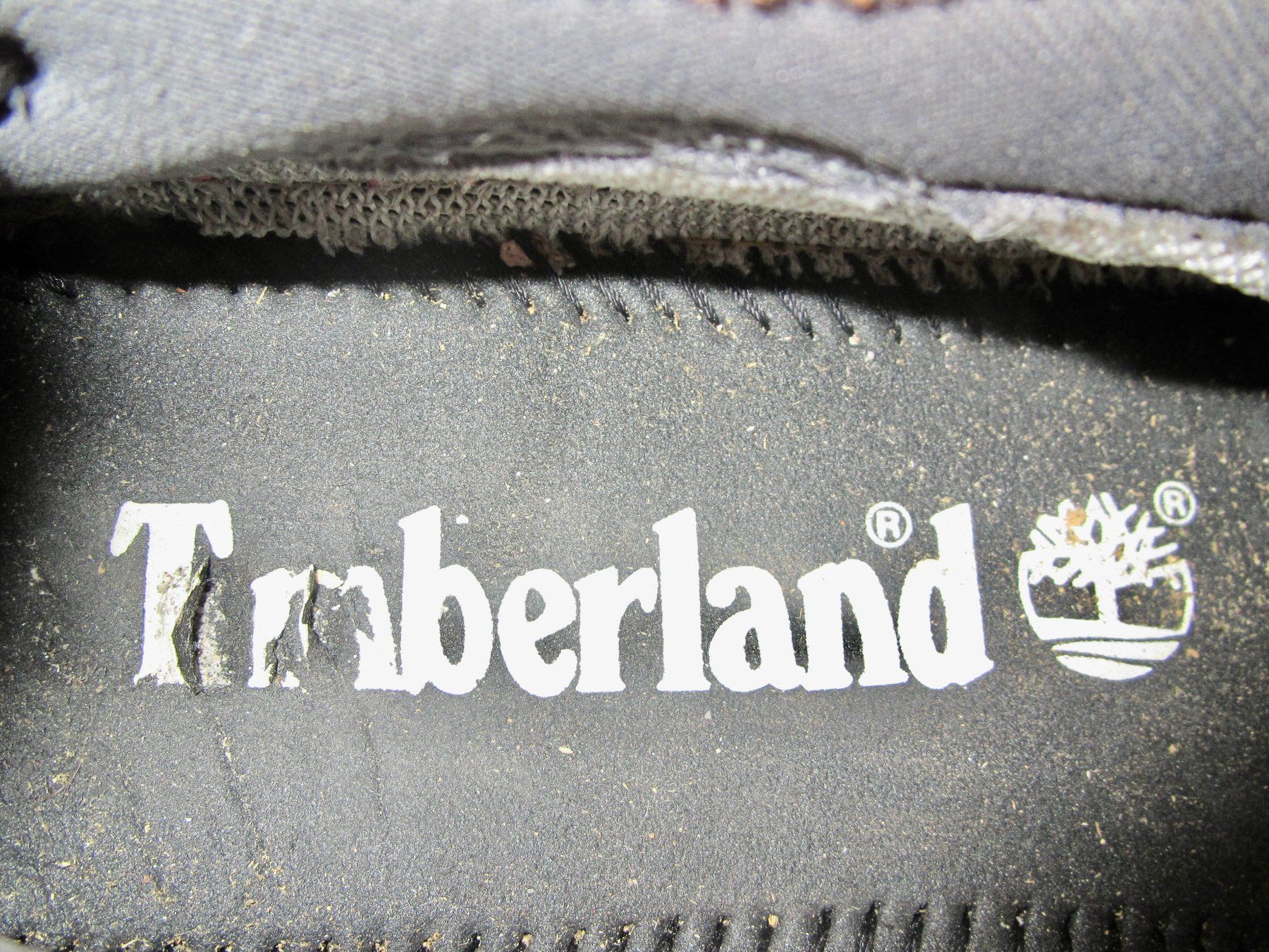 Timberland Herrenschuhe: SNEAKER TIMBERLAND – Gebraucht aus Murten von Selliot 6