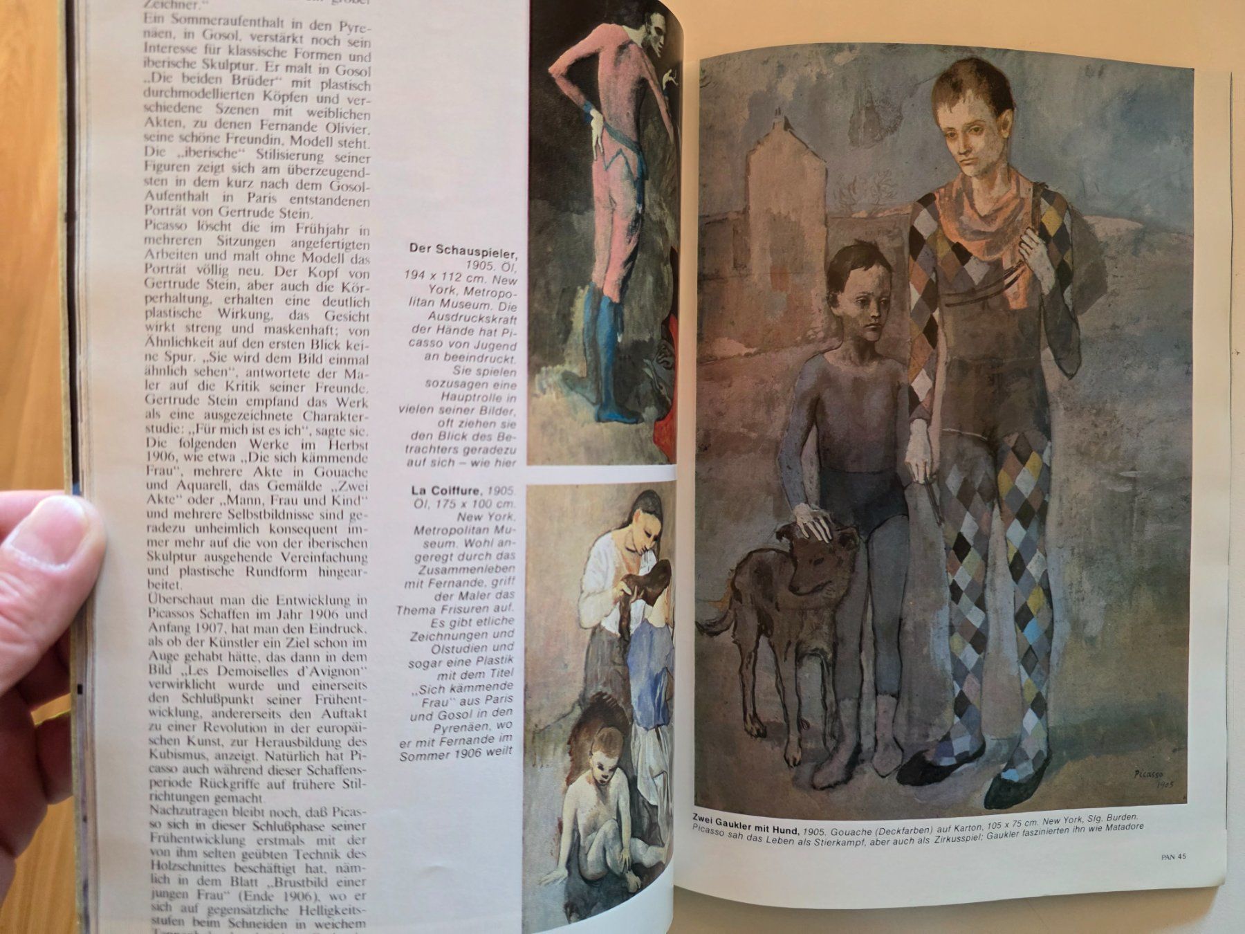 Riviste & Magazine: Pan Special Zeitschrift - Pablo Picasso 1981 – Usato da Walterswil BE venduto da Lonitti 5