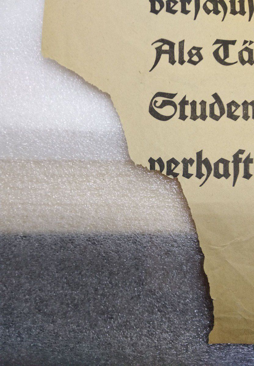 Foto & Immagini: ERSTER WELTKRIEG - MEMORABILIA - – Usato da Goldach venduto da Gaip 3