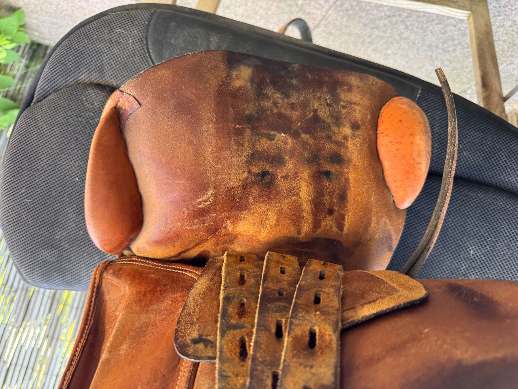 Selle & Accessori: Spirig Springsattel – Usato da Suberg venduto da BlueSea 6