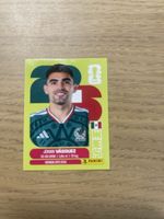 Panini FIFA WC MEX 3