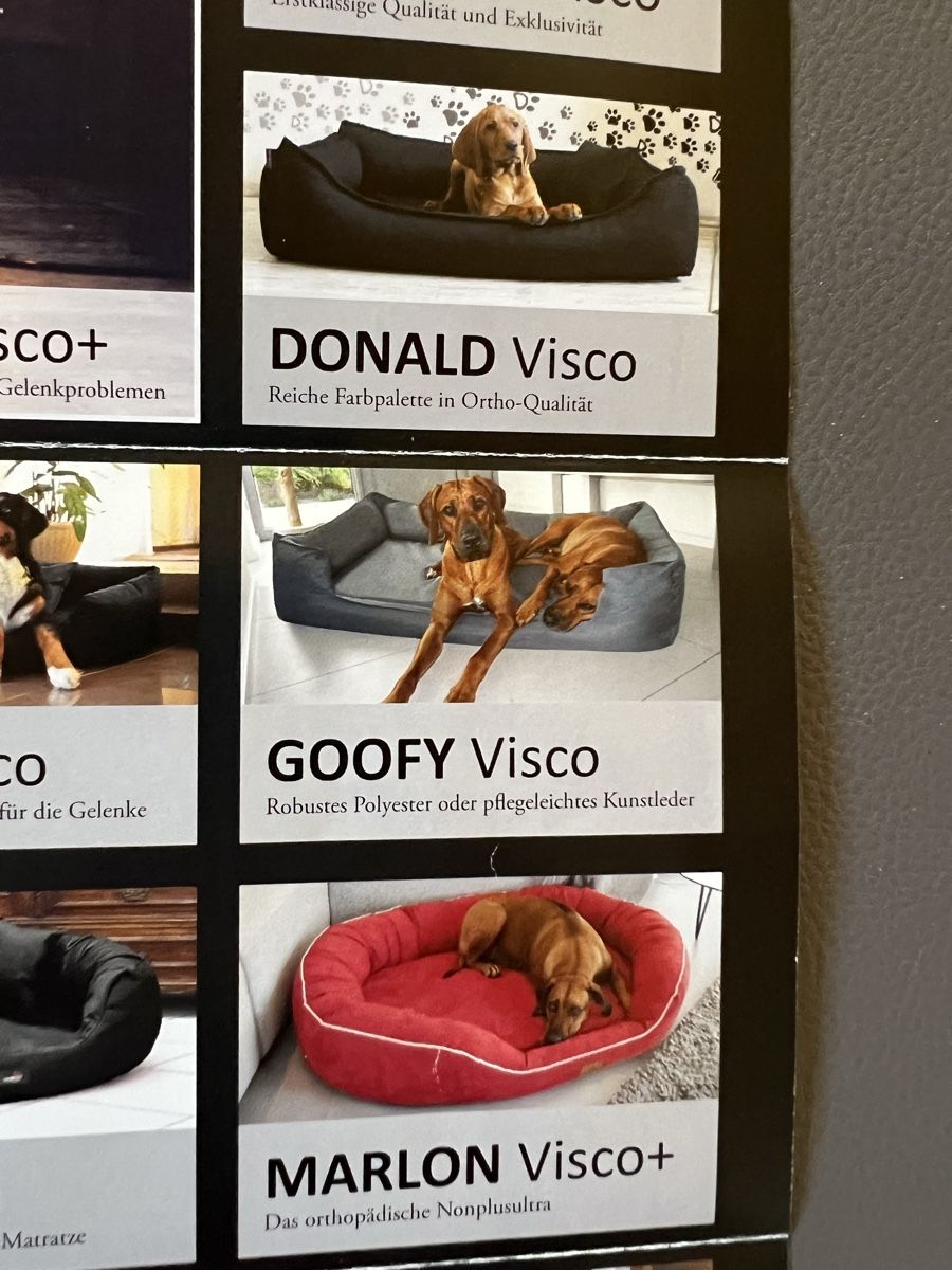 Liege- & Schlafplätze: Hundebett orthopädisch Goofy – Gebraucht aus Betschwanden von Dognose 4