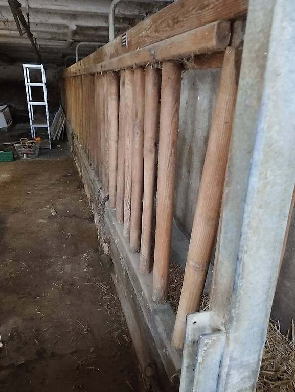Altro in Accessori per animali: Fressgitter aus Holz – Usato da Niederbüren venduto da Johnydriver