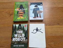 Lot English books