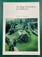 Die Burg Schauenberg bei Hofstetten (Archäologie)