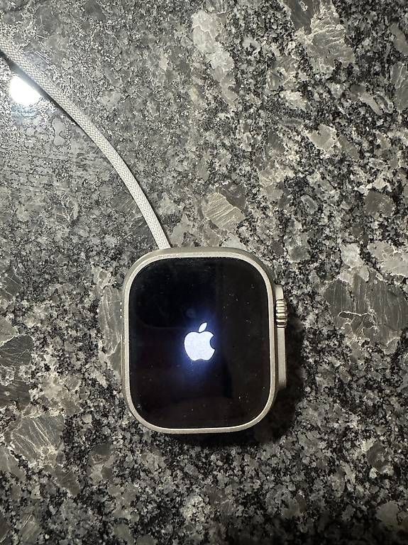 Smartwatch: Titan Apple Watch Kein Kratzer  – Usato da Watt venduto da Lionking9 2