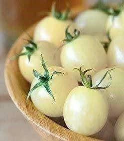 Piante & sementi: TOMATE CERISE BLANCHE ! RARE 15g – Nuovo (secondo la descrizione) da Bremblens venduto da FIBONACCI369