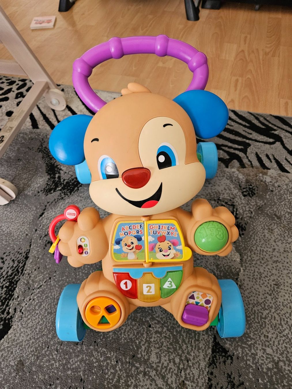 Spielzeuge: Fisher Price Lauflernwagen – Gebraucht aus Buchs AG von Naila.Keinath
