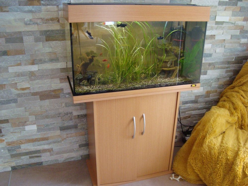 Juwel Aquarium mit allem drum und dran | Kaufen auf Ricardo