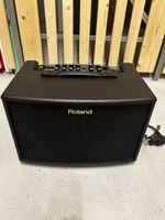 Roland AC-60 Acoustic Chorus Verstärker + Originaltasche