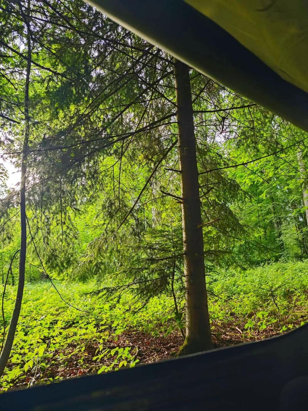 Amache: Camping Hängematte mit Moskitonetz & Regenschutz – Usato da Bern venduto da Turbine 3