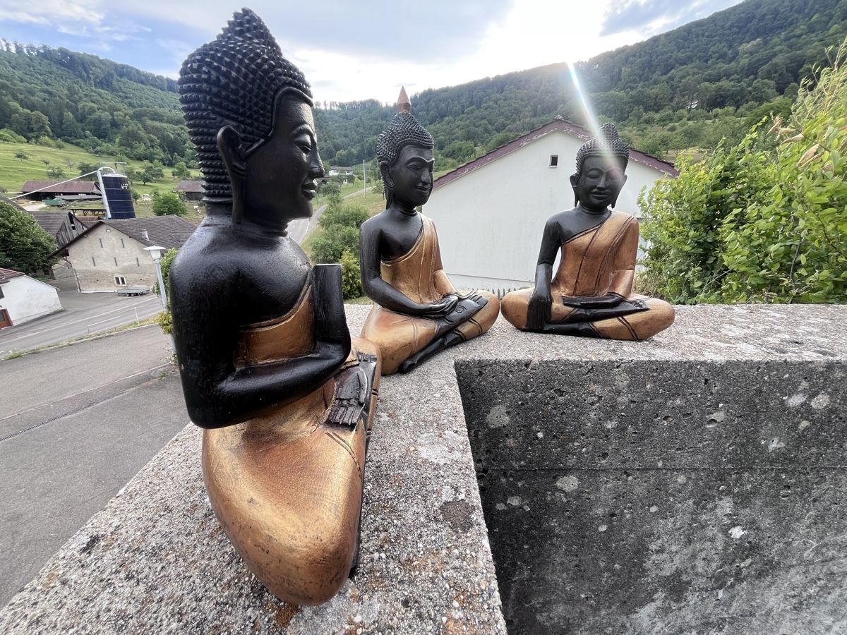 Sculture & Statue: 3 handgeschnitzte Holz-Buddhas aus Kambodscha – Nuovo (secondo la descrizione) da Büsserach venduto da Cabstardwarf3 6