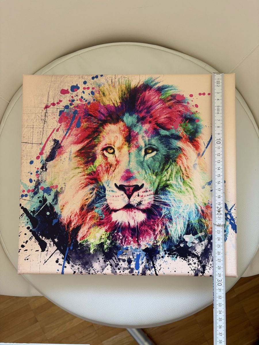 Foto & Immagini: Leinwandbild-The King – Nuovo (secondo la descrizione) da Bülach venduto da kittygismo 1