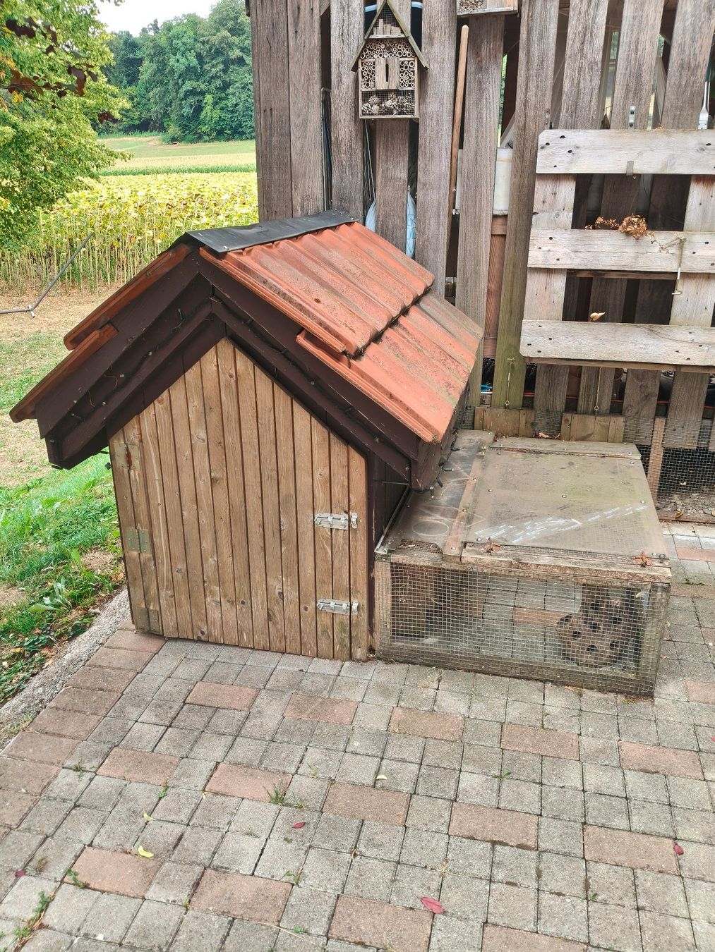 Cucce & Letti: Keintierstall / Hundehütte – Usato da Lotzwil venduto da Schaub4932