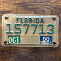 🇺🇸 U.S. Motorradnummer, Florida 157713 - (18x10cm)
