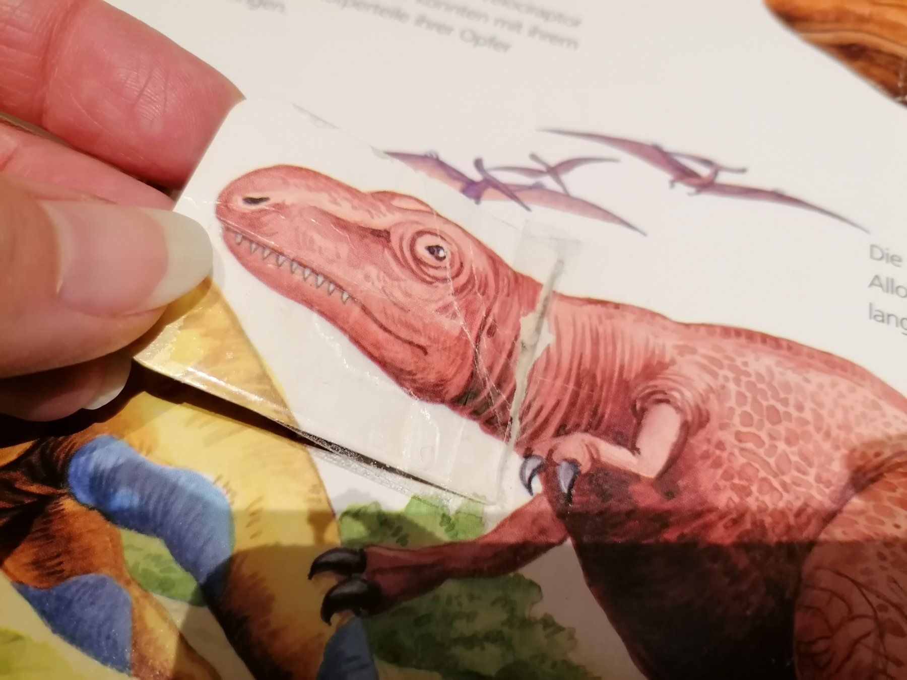 Bücher: Wieso Weshalb Warum Dinosaurier – Gebraucht aus Büttikon AG von Amineah 5