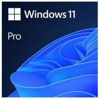 Microsoft Windows 11 Pro Lizenz