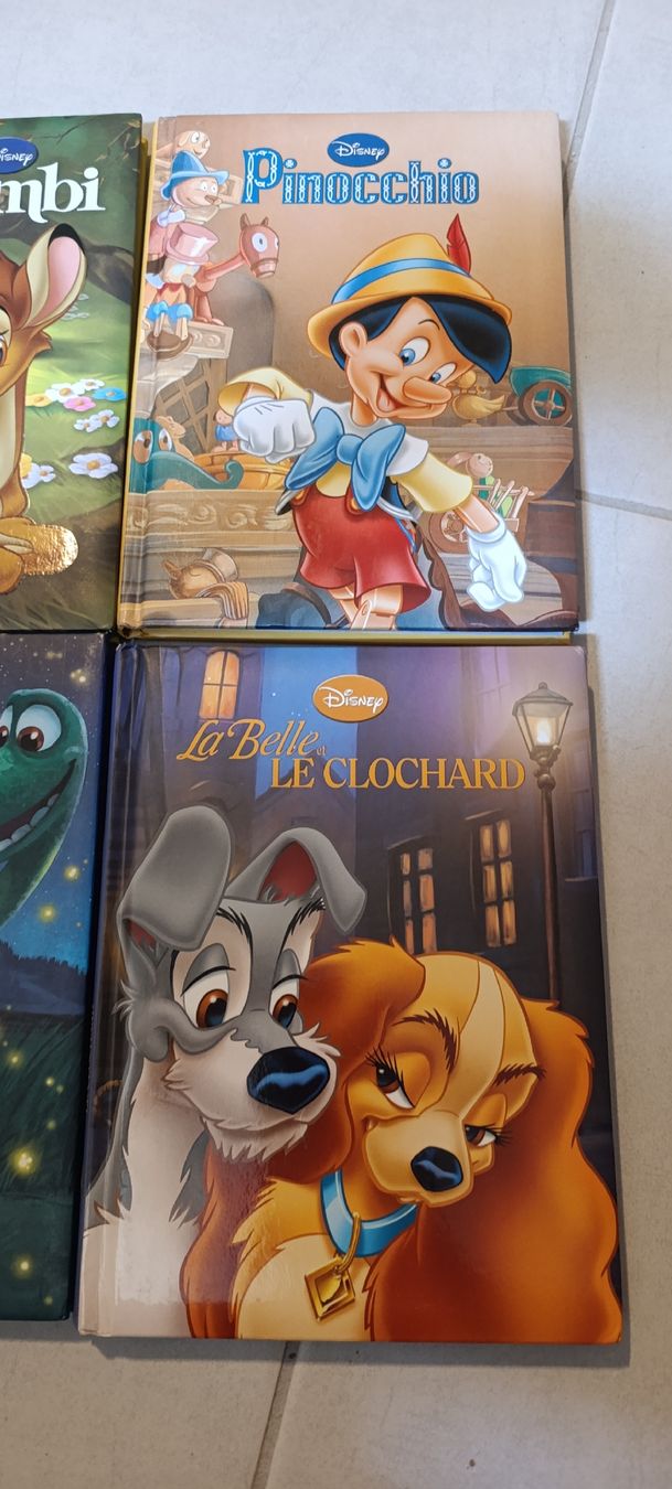 Bücher: 6 livres Disney – Gebraucht aus Mont-la-Ville von Ecu23hj 1