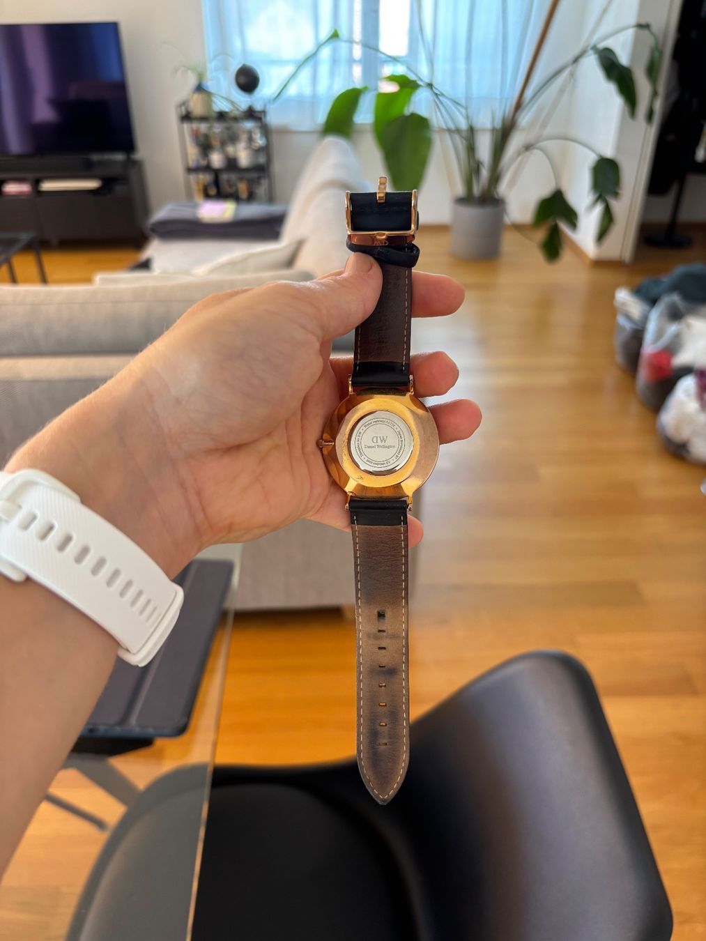 Continental Orologi: Armbanduhr Continental – Usato da Winterthur venduto da D_Zel97 1