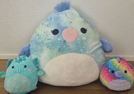 3 Stofftiere Plüschtiere Squishmallows neuwertig