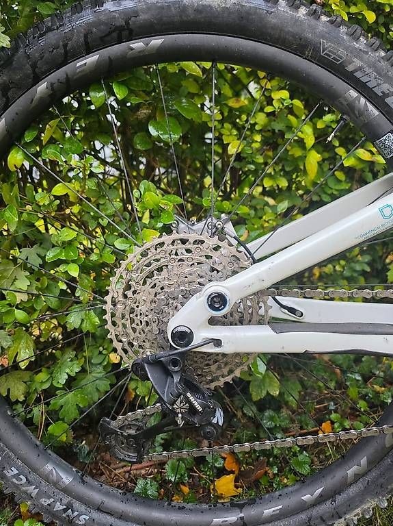 Velos: Commencal Meta TR 29 Schnäppchen – Gebraucht aus Zürich von cam_2xn9 4