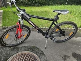 Gepflegtes Drive Spider Mountainbike - Top Zustand!