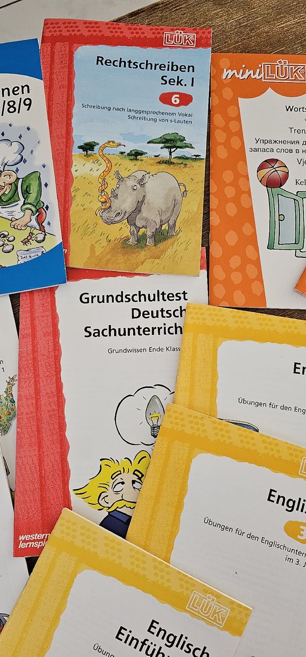 Libri: Lernbücher Set LÜK neu – Nuovo (secondo la descrizione) da Niedergösgen venduto da topol14 3