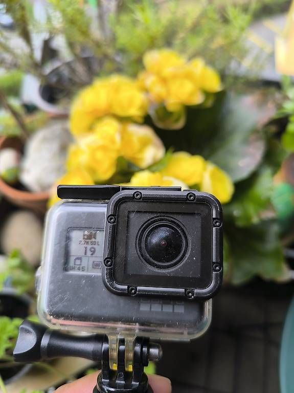 Action Cam: 2 Gopro Hero5 black + 2 batteries  – Usato da Estavayer-le-Lac venduto da cht_55s8