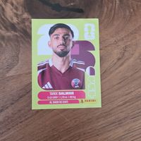 Panini QAT8 Tarek Salman 