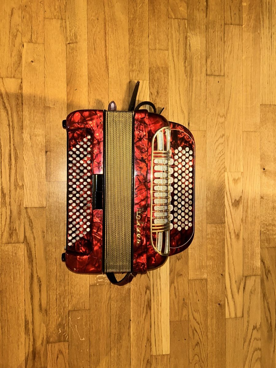 Hohner Strumenti musicali: Hohner-Akkordeon – Usato da Dussnang venduto da pet_fcy5 1