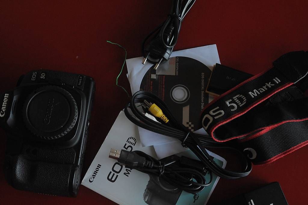 Fotocamera: canon 5 D mark II – Usato da Bassins venduto da nip_7bhz 3