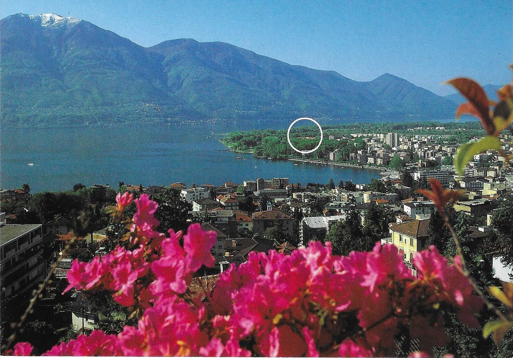 Ansichtskarten: Residenza Al Lido Locarno TI – Neu (gemäss Beschreibung) aus Rothrist von Stranglehold